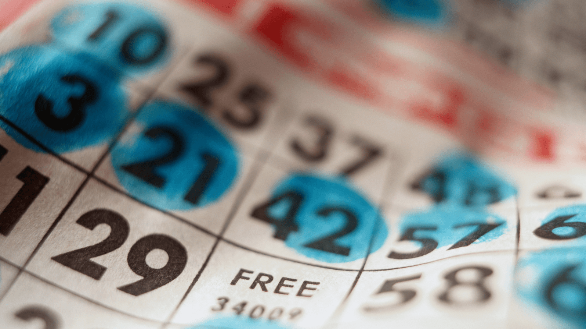 Kaikki online-bingokorteista ja -puheluista image